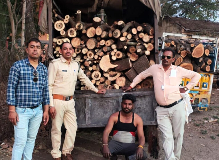 रात के अंधेरे में घेराबंदी कर पकड़ी अवैध बबूल की लकड़ी